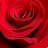 athi