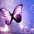 pin_flower